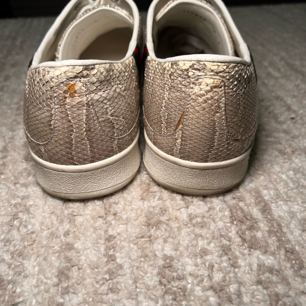 Gucci python sneakers - Picture 6 of 8